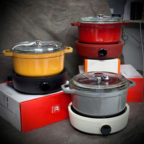 Bếp từ đơn zwilling