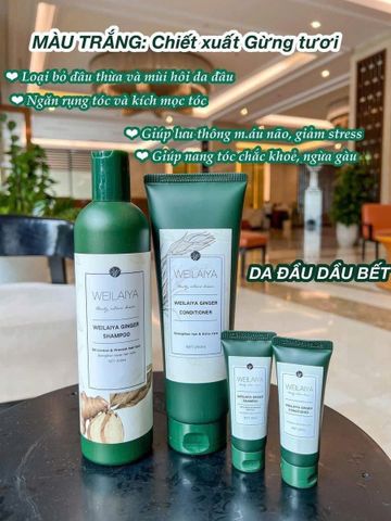Dầu Gội Cặp Weilaiya Gừng Non – mọc tóc, giảm gàu (kèm bộ mini)