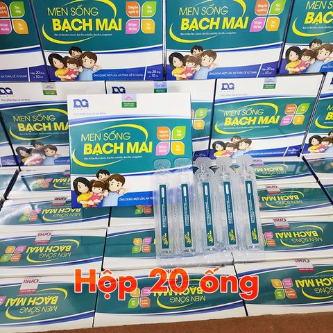 Men sống Bạch Mai giúp bổ sung lợi khuẩn đường tiêu hóa