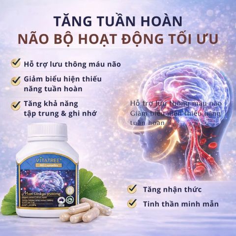 Viên Uống Bổ Não Vitatree Ginkgo Plus 9500 + CoQ10 50mg – Hỗ Trợ Trí Nhớ, Tuần Hoàn Não – 60 Viên