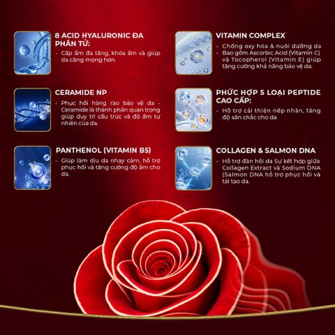 SHINIQUE Miraculous Anti-Wrinkle Moisturizer Cream - Kem Dưỡng Da Ban Đêm với PDRN & 5 Peptide, Phức Hợp 8 Loại HA 50ml