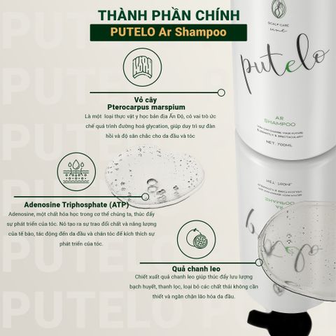 Bộ 3 sản phẩm trẻ hoá da đầu, kích thích mọc tóc PUTELO tăng cường độ phồng cho tóc