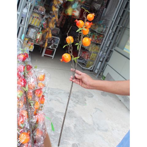 Đào đông, cành lựu đỏ trưng Trang trí Tết