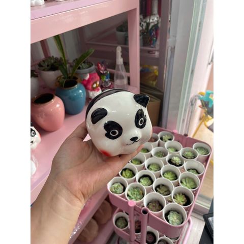 [Lỗ tròn] Heo Sứ Mini Họa Tiết Ngẫu Nhiên