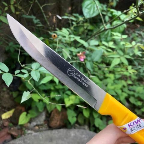 Hộp 12 dao Kiwi cán vàng đầu tròn – nhọn (TH179)