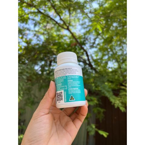 Ginkgo Biloba 2000 Healthy Care bổ não của Úc 100 viên