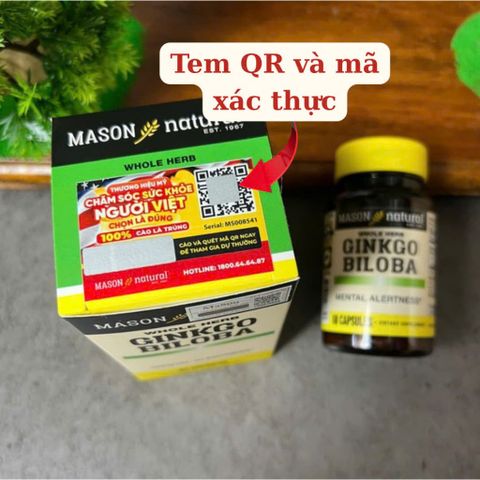 [Nhập khẩu chính ngạch] Mason Natural Ginkgo Biloba - Viên uống bổ não (60 viên)