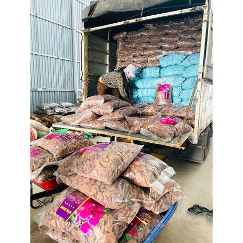 VỎ THÔNG TRỒNG LAN CHẤT LƯỢNG CAO CHO VƯỜN CÂY CẢNH (900G)