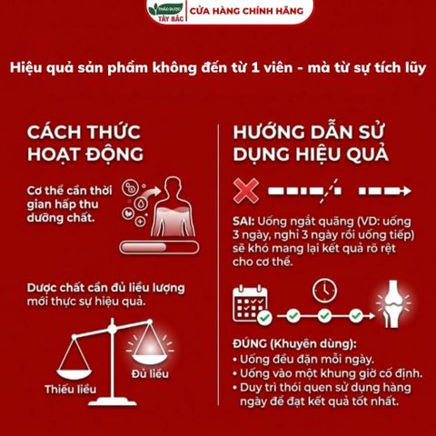 Viên uống tiểu đêm SHIKAWA -  Bổ Thận, hỗ trợ tiểu nhiều lần, tiểu đêm, tiểu không tự chủ (Chính Hãng Hộp 30 Viên)