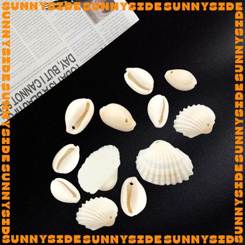 10 Charm Vỏ Sò Vỏ Ốc Tự Nhiên Có Lỗ Nhiều Kích Thước Làm Vòng Đeo Tay Mặt Dây Chuyền Phụ Kiện Trang Sức