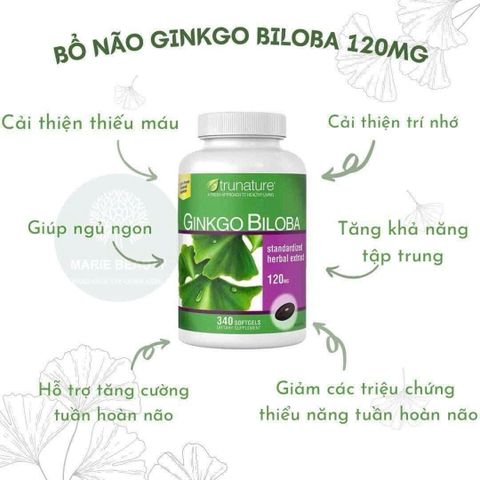 Viên uống bổ não Trunature Ginkgo Biloba 340 viên - Tăng cường trí nhớ và lưu thông tuần hoàn máu, Mỹ