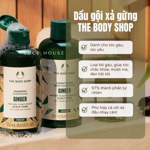 Dầu gội gừng giảm rụng tóc The Body Shop không chứa dầu silicon giúp giảm gàu 400ml