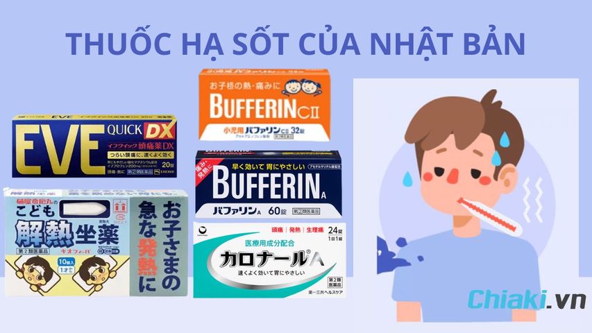 Copyright @Chiaki.vn