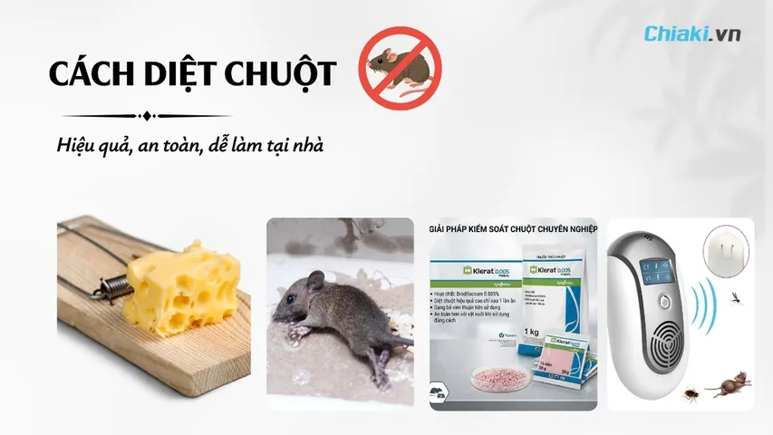 Copyright @Chiaki.vn