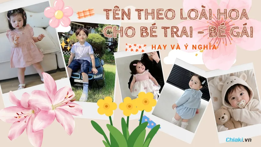 Copyright @Chiaki.vn