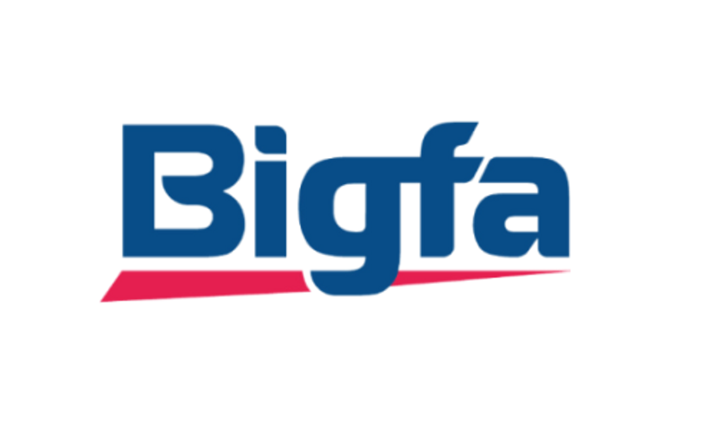 Công ty cổ phần Bigfa
