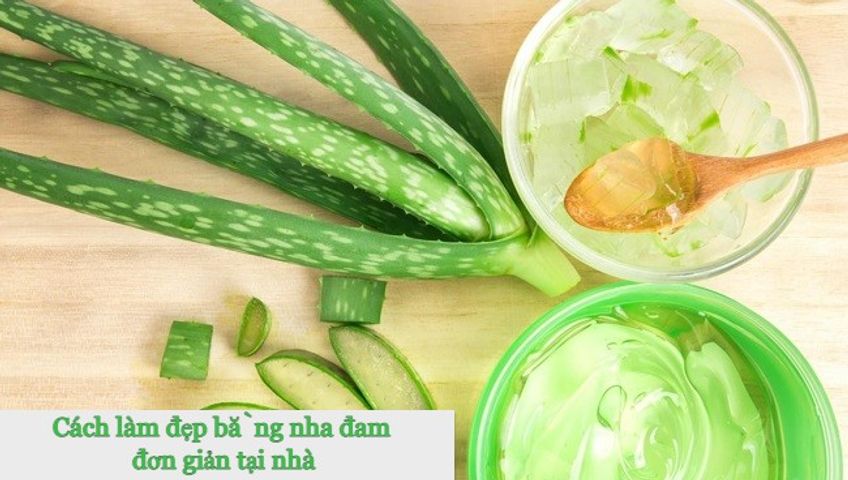13 Cách làm đẹp bằng nha đam vừa đơn giản hiệu quả an toàn