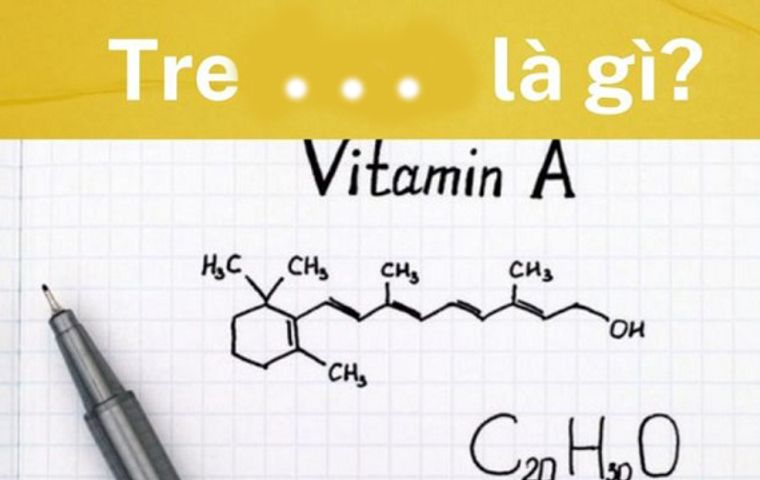 Tre là gì? Cách dùng Tre cho người mới bắt đầu