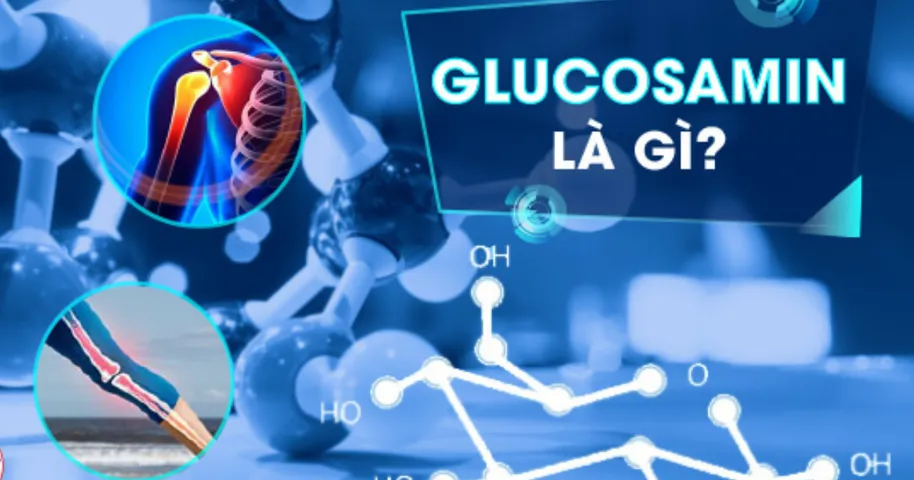 Glucosamine là gì? Tác dụng, liều dùng, cách sử dụng hiệu quả