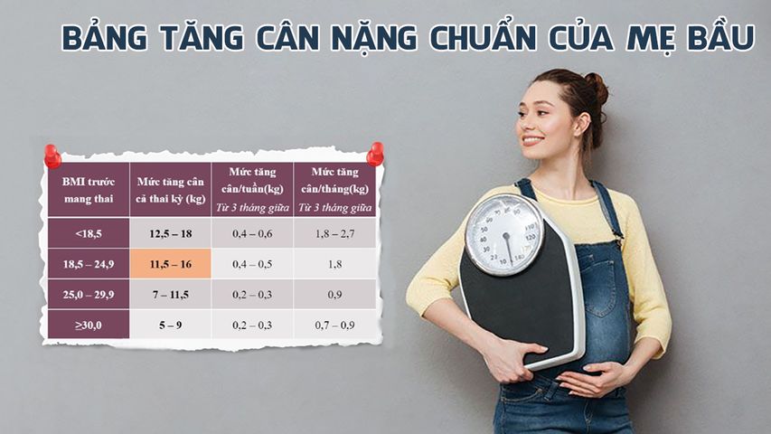 Bảng tăng cân nặng chuẩn của mẹ bầu theo từng giai đoạn thai kỳ