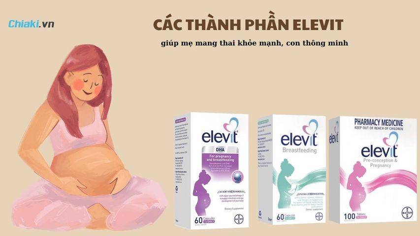 Copyright @Chiaki.vn