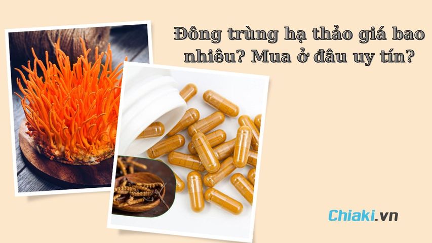 Đông trùng hạ thảo giá bao nhiêu? Mua ở đâu uy tín?