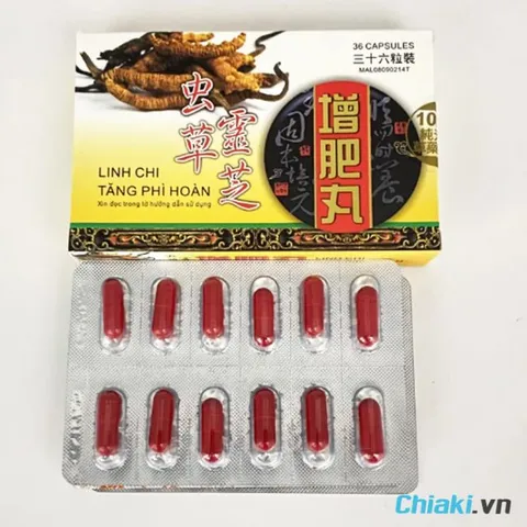 SẢN PHẨM TĂNG CÂN ĐÔNG Y GIÚP ĂN NGON VÀ HẤP THU TỐT HƠN