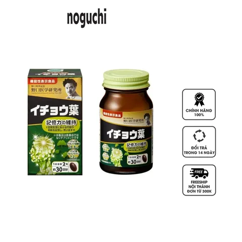 Viên uống hỗ trợ bổ não Premium Ginkgo Leaf Noguchi