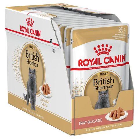 Pate Royal Canin cho mèo Anh lông ngắn 85g - Thức ăn dinh dưỡng hỗ trợ sức khỏe và cơ bắp cho mèo trưởng thành 12 tháng tuổi trở lên