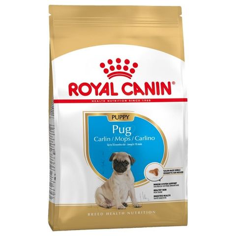 Thức ăn chó Royal Canin Pug Puppy từ 2-10 tháng tuổi