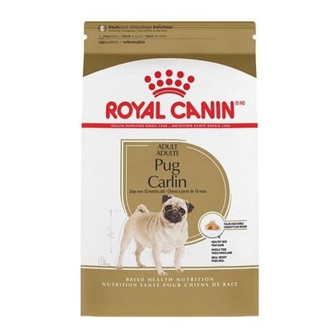Thức ăn hạt cho chó Royal Canin Pug Adult trên 10 tháng tuổi