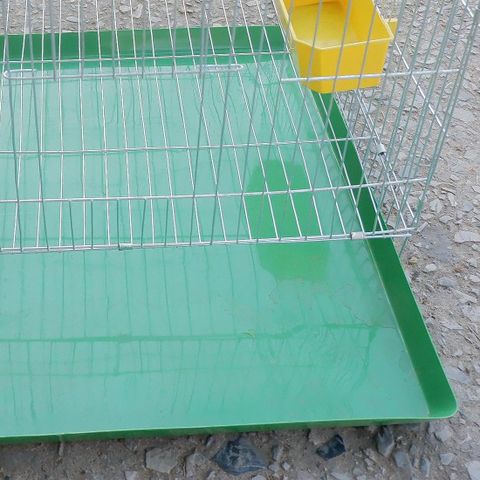 Khay Hứng Vệ Sinh Lồng Chim Bằng Nhựa 50x50cm - Giải Pháp Giữ Sạch Chuồng Nuôi Cho Chim, Gà, Thỏ, Mèo