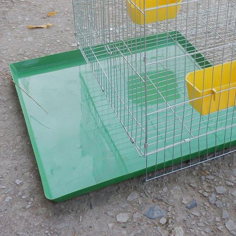 Khay Hứng Vệ Sinh Lồng Chim Bằng Nhựa 50x50cm - Giải Pháp Giữ Sạch Chuồng Nuôi Cho Chim, Gà, Thỏ, Mèo