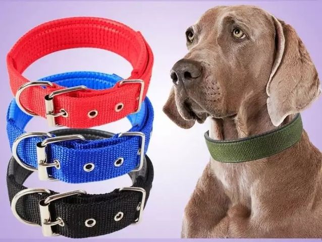 Vòng Cổ Vải Đệm Khóa Cho Chó - Phụ Kiện Thú Cưng Đẹp, Thoải Mái, Chịu Lực, Dễ Dàng Điều Chỉnh Kích Thước