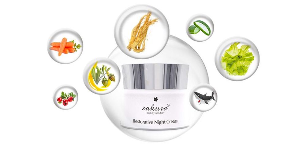 Kem Dưỡng Phục Hồi Ban Đêm Sakura Restorative Night Cream - Chăm Sóc Da Nhập Khẩu Nhật Bản, Giúp Trẻ Hóa Da và Cải Thiện Kết Cấu Da 30g