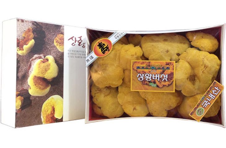 Nấm Linh Chi Vàng Thiên Nhiên Cao Cấp 365 Hàn Quốc 1kg - Tăng Cường Sức Khỏe, Hỗ Trợ Làm Đẹp Da, Thải Độc Tự Nhiên