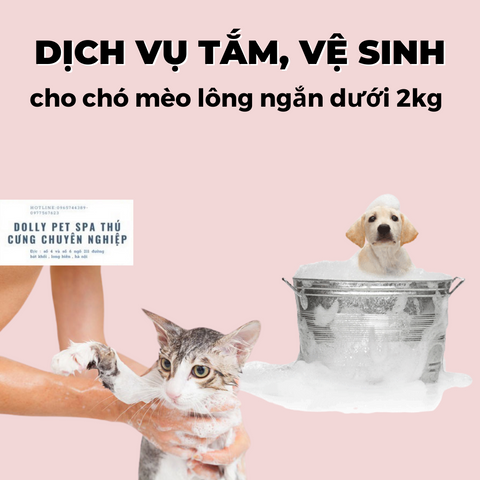 Voucher tắm và vệ sinh cho chó mèo lông ngắn dưới 2kg