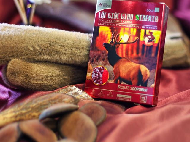 Lộc Giác Giao Siberia - Thực Phẩm Chức Năng Cao Cấp Hỗ Trợ Tăng Cường Sức Khỏe và Phục Hồi Cơ Thể 100g