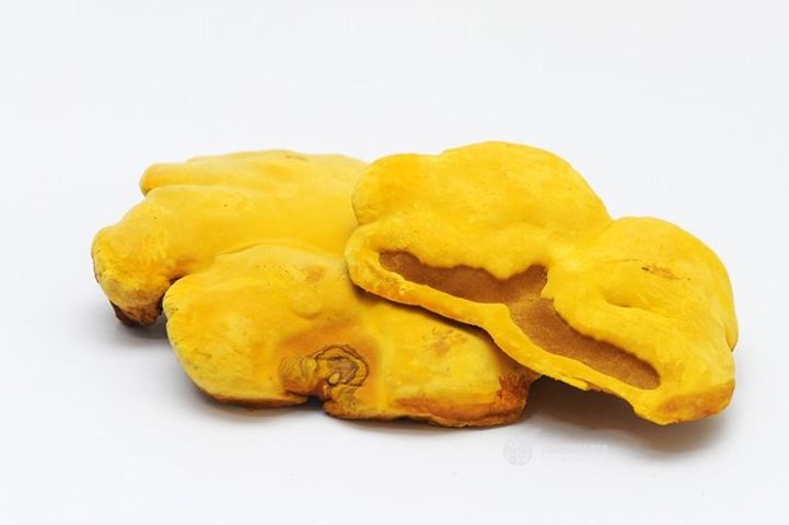 Khay Nấm Linh Chi Thượng Hoàng Hàn Quốc Tai To - Hỗ Trợ Sức Khỏe, Ngăn Ngừa Khối U, Bồi Bổ Cơ Thể, 500g