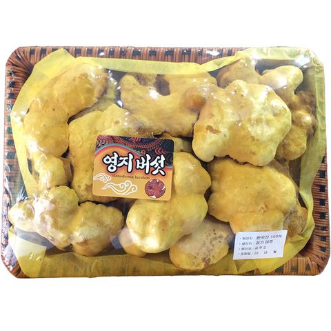 Khay Nấm Linh Chi Thượng Hoàng Hàn Quốc Tai To - Hỗ Trợ Sức Khỏe, Ngăn Ngừa Khối U, Bồi Bổ Cơ Thể, 500g