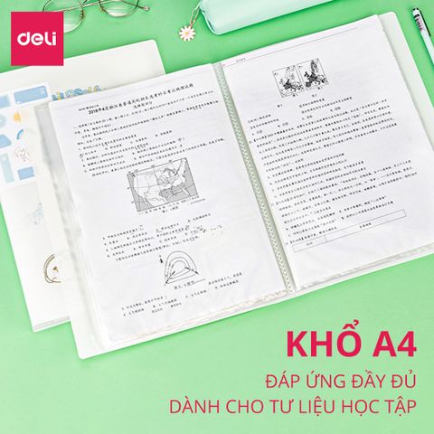 File lá học sinh A4 Deli Vương Nguyên YYDL 72747/72748 - Nhựa PP bền, trong suốt, bìa bắt mắt, sticker dễ thương, sắp xếp gọn gàng