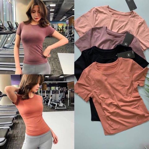 Áo Tập Gym Nữ AC1001 Ngắn Tay Chất Thun Co Giãn - Thoải Mái, Ôm Body, Size Đẹp, Có 3 Màu Đen, Hồng Đất, Nâu