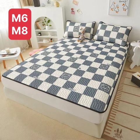 Chiếu điều hòa cao su non Tencel Latex 2D - Mẫu 2022 - Chất liệu mềm mại, thoáng mát, kháng khuẩn, kèm 2 vỏ gối và túi đựng tiện lợi.