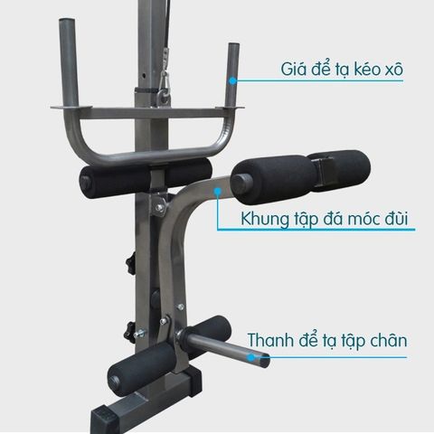 Ghế Tập Tạ Đa Năng Thanh Xuân - Khung Thép Chắc Chắn, Tiện Lợi Tập Gym Tại Nhà, Lắp Đặt Đơn Giản, Tối Đa 100kg
