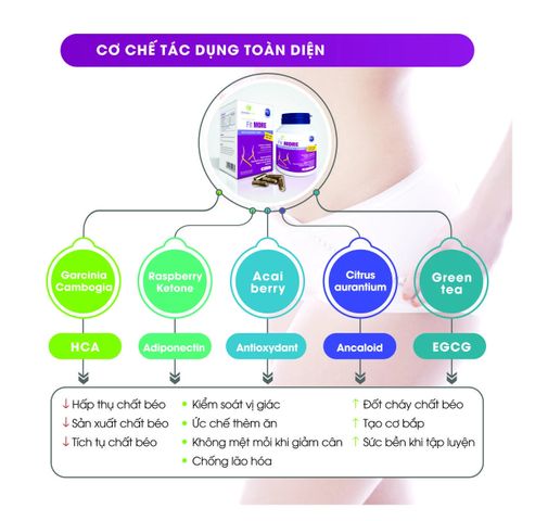 Viên Uống Giảm Cân Fit MORE - Hỗ Trợ Đốt Mỡ, Tăng Cường Chuyển Hóa, Cảm Giác No Bụng - Sản Phẩm Dinh Dưỡng Hỗ Trợ Giảm Cân 40 Viên