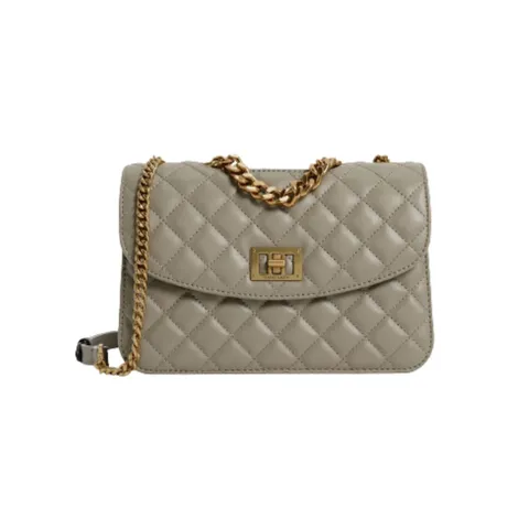 Túi xách Charles & Keith Quilted Clutch