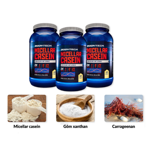 Bột Uống Tăng Cơ BodyTech Micellar Casein Hương Vani Pháp - 24g Protein/Khẩu Phần, Hỗ Trợ Phục Hồi Cơ Bắp Sau Tập Thể Hình