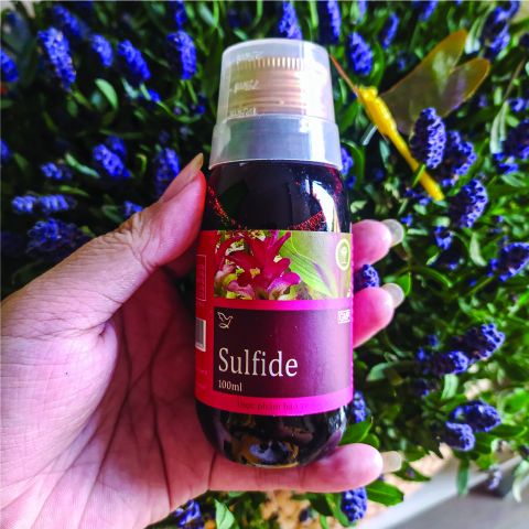 Siro Hỗ Trợ Giảm Ho Sulfide Việt Medical 100ml - Giúp Giảm Ho Khan, Có Đờm, Đau Rát Họng - Dễ Uống, Hương Vị Ngon