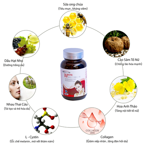 Viên Uống Hỗ Trợ Trắng Da White Skin Estro Care - Bổ Sung Collagen, Vitamin E, Giúp Da Trẻ Hóa, Mịn Màng, 30 Viên