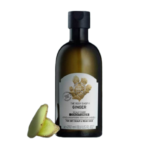 Dầu Gội Xả Gừng The Body Shop Ginger Anti-Dandruff 250ml - Giải Pháp Ngăn Gàu, Làm Sạch Và Dưỡng Ẩm Tóc Từ Tinh Dầu Gừng Sri Lanka